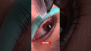 Lash lift tutorial beautiful lashes lashlift shorts beauty ysensbeauty [upl. by Enrica]