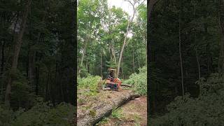 Putting my brand new Chinese Mini Excavator to work clearing land [upl. by Eecats]