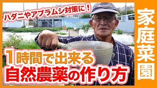 ハダニやアブラムシを撃退！1時間で自然農薬を作る方法！家庭菜園で使える害虫対策や農薬の使い方も解説【農家直伝】 1hour  How to make natural pesticides [upl. by Ahsetra]