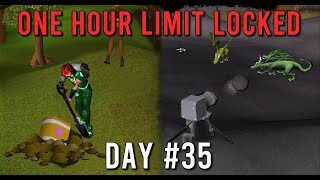 Who needs bots when you have a cannon  S1 E35  OSRS [upl. by Nagek]