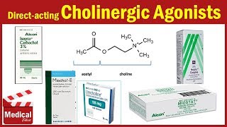 Pharmacology ANS 6 Direct Acting Cholinergic Agonists  Acetylcholine  Carbachol  Methacholine [upl. by Frodina299]