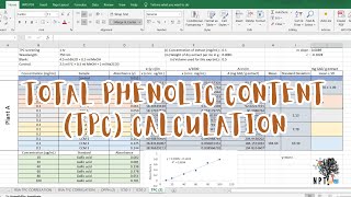 Total Phenolic Content TPC Calculation in Microsoft Excel  StepbyStep Beginner Tutorial [upl. by Lauer648]