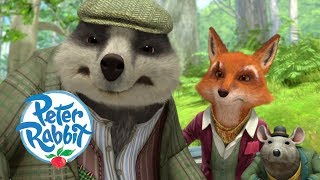 Peter Rabbit  Mr Tods Terrible Trap  Cartoons for Kids [upl. by Lustick]