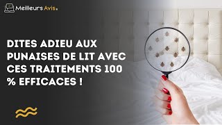 Dites adieu aux punaises de lit avec ces traitements 100  efficaces [upl. by Ginzburg]