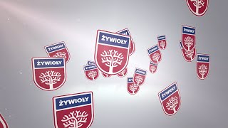 Przedszkole „Żywioły”  6 filarów [upl. by Eustacia]