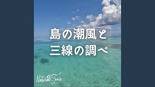 サンゴ礁の夢 [upl. by Regnig]