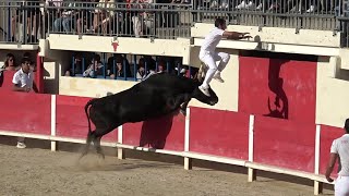 LE GRAU DU ROI  1ère JOURNÉE DU TROPHÉE DE LA MER  ROYALE DE LA MANADE CUILLÉ le 12092024 [upl. by Eimar981]