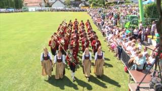 Musikverein Leopoldschlag  Marschwertung Bmf 2017 in Pregarten [upl. by Eeroc]