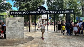 Explorando el Zoológico de Tizimin Yucatán 2024 [upl. by Shayn]