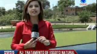 O Sistema Wetland em Águas de Juturnaíba [upl. by Edelman162]