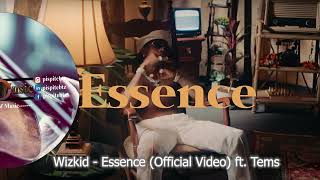 Wizkid Essence Official Video ft Tems Violin cover [upl. by Ahsemo]