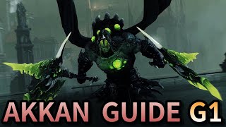 Lost Ark Akkan Legion Raid Guide Gate1 [upl. by Ky]