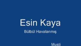 esin kaya bülbül havalanmış [upl. by Dom]