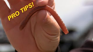 Winter Wacky Rig Worm Catch 10x MORE Bass  Bass Fishing [upl. by Anilosi]