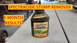 Spectracide Stump Remover  Decomposition Accelerator 6 Month Review [upl. by Rysler]