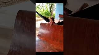 Smartest Kids phtv smart kid funny baby justforlaugh nature [upl. by Eirrem]