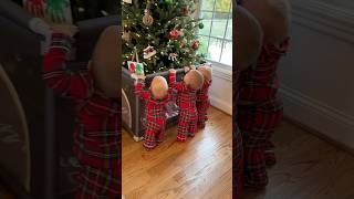 How to protect Christmas Tree from Triplets 🎄 lifehack christmas triplets mom cute twins [upl. by Kcirrag]