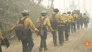 Camarillo Fire Crews Travel Hundreds of Miles to Protect Communities [upl. by Telimay]