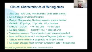 Meningiomas  2024 One Health Conference [upl. by Eissed600]