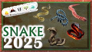 Snake Horoscope 2025  Fire Earth Metal Water Wood [upl. by Hartley]