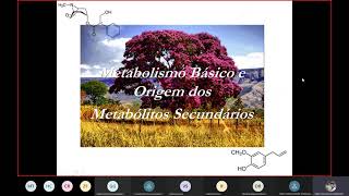 Farmacognosia  Metabólitos secundários e os ativos de Plantas [upl. by Cayla]