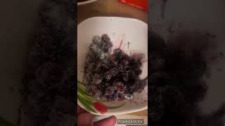 Mulberry ka meeta  quick recipe with no gas food mulberry recipe sweet minivlog cooking [upl. by Aniryt]