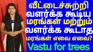 வாஸ்து மரங்கள் செடிகள்vastu for trees in tamilவீட்டில் வளர்க்க கூடாத மரங்கள் [upl. by Yecak]