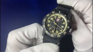 Luminox Leatherback Sea Turtle Giant  4K Unboxing amp Review [upl. by Medwin]