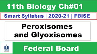 Peroxisomes and Glyoxysomes Class 11 Biology Federal Board Ilmi Stars Academy [upl. by Leler]