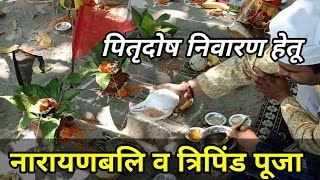 नारायण बलि व त्रिपिंडी पूजा  Pitra dosh ke Upay  Narayanbali tripindi Puja  Pandit ji Haridwar [upl. by Niehaus282]