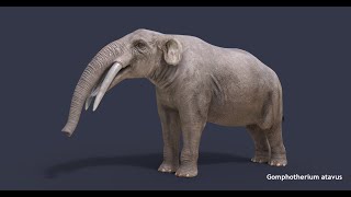 Extinct animals 3D pack v6 [upl. by Colpin]