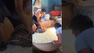 Petha Making😍 streetfood viral agra explore indianstreetfood shortvideo shorts petha [upl. by Biddy508]