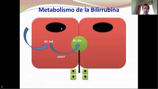 MED I Alteracion de hepatograma 1 [upl. by Shugart]