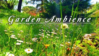 Healing Nature Meditation 🌳 GARDEN AMBIENCE 🌿 Relaxing Spring Sounds on a Lovely Sunny Morning [upl. by Attennyl]