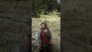 001 Players Know this Rarest Horse in RDR2 [upl. by Chesney]