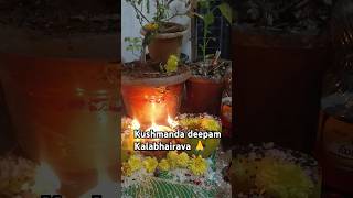 kalabairava deepam kushmanda ashtami [upl. by Cristionna]