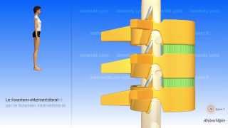La colonne vertébrale simplifiée et la vertèbre type [upl. by Nove]