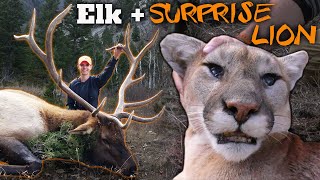 Elk Hunting Public Land amp BONUS MOUNTAIN LION Eastmans Hunting TV [upl. by Lietman878]