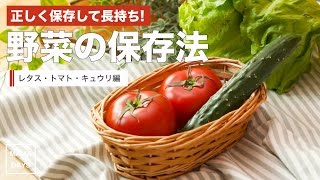 野菜の保存方法（レタス、トマト、キュウリ編）｜How to stock vegetables 初めてでも簡単 料理の基本 [upl. by Anirtac733]