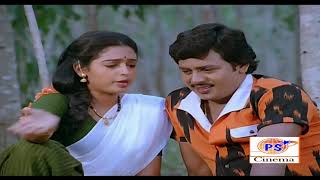 மனசுக்கேத்த மகராசா படத்தின் காதல் காட்சிகள்  Ramarajan Seetha Movie Love Scenes  Love Scenes [upl. by Hodgson458]