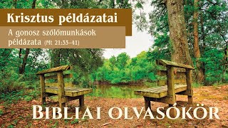 OLVASÓKÖR Krisztus példázatai  A gonosz szőlőmunkások példázata  Reisinger János [upl. by Irrot]