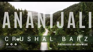 CRUSHAL BARZ  ANANIJALI VISUALIZER [upl. by Huppert644]