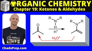 196b Addition of Secondary Amines Enamine Formation [upl. by Karb]