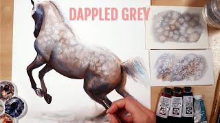 How to Paint Dappled Grey in Watercolor Easy Tutorial [upl. by Sybley]