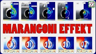 Der MARANGONI EFFEKT und seine Folgen Compact Physics [upl. by Wiltshire617]