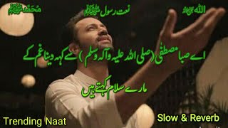 Ae Saba Mustafa se keh dena  Naat  Atif Aslam Naat  Naat lyrics [upl. by Curnin]