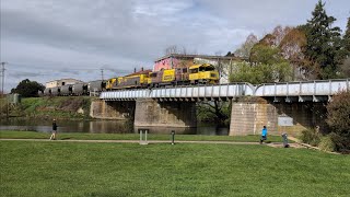 TasRail 2054 TR16 46 Coal train passing through Deloraine [upl. by Ziegler]