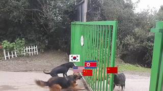 North Korean conflict summarized [upl. by Stella]