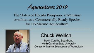 Chuck Weirich Florida Pompano Trachinotus carolinus Aquaculture [upl. by Airt]