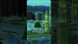 madina🕋hajj2024shortsyoutubeshortsislamtrendingytshortsmadinaislamicvideomakkahshorthajj [upl. by Yar]